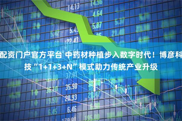 配资门户官方平台 中药材种植步入数字时代！博彦科技“1+1+3+N”模式助力传统产业升级